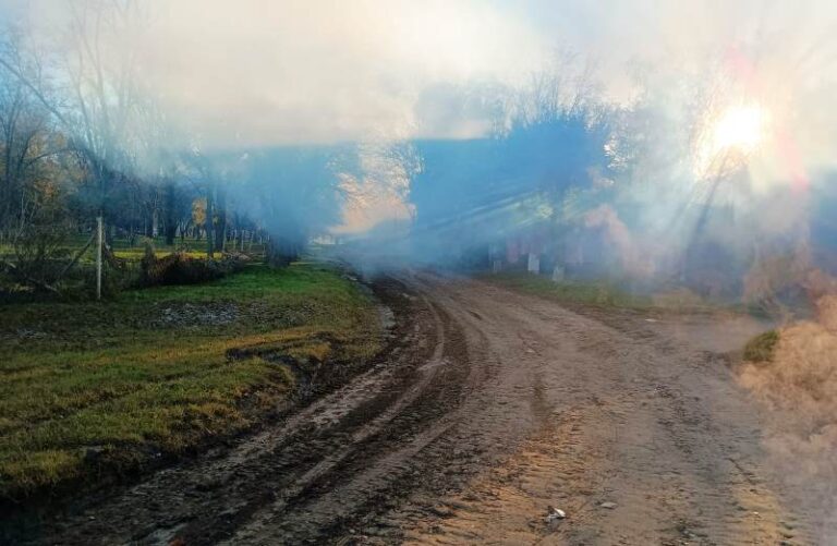Desinfección y fumigación en zonas afectadas por las inundaciones