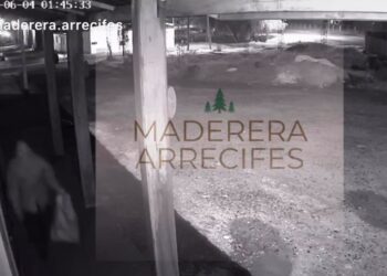 VIDEO. Siguen los robos en Arrecifes