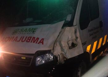 Se supo que la ambulancia que chocó con el caballo es de Arrecifes