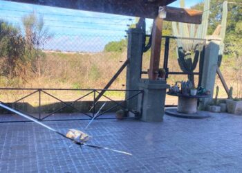 Los “tirapiedras” siguen atacando: ahora a una casa de familia
