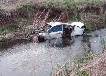 Extraña presencia de un auto en el agua