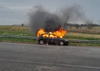 Desesperación ante el voraz incendio de un auto en marcha