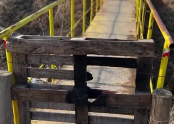 Recuperan el puente peatonal del paseo costero