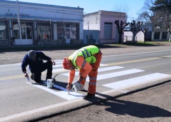 Pintaron una senda peatonal en Viña
