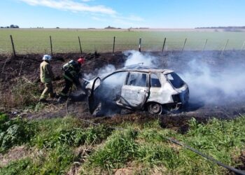 Otro incendio de un auto en ruta 191