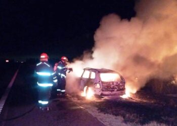 Incendio de un auto en ruta 8
