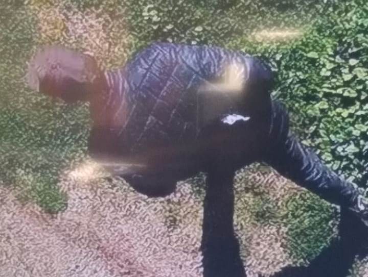 Aplican una contravención a un sujeto que dañó una cámara de seguridad