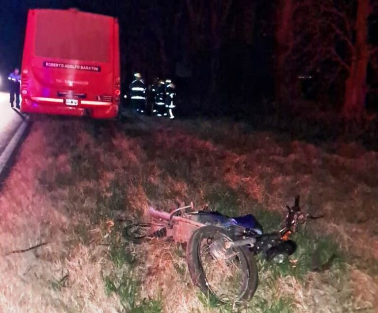 Tragedia en la ruta: una mujer fue embestida por un micro de Arrecifes