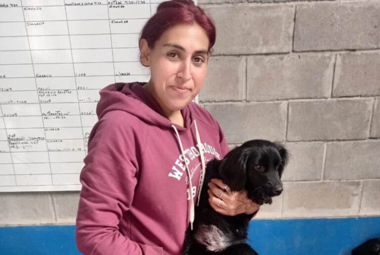 Castraciones de mascotas en el centro de evacuados