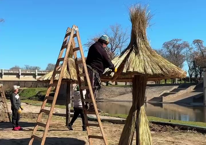 Colocaron dos sombrillas y plantaron jacarandás en el Balneario