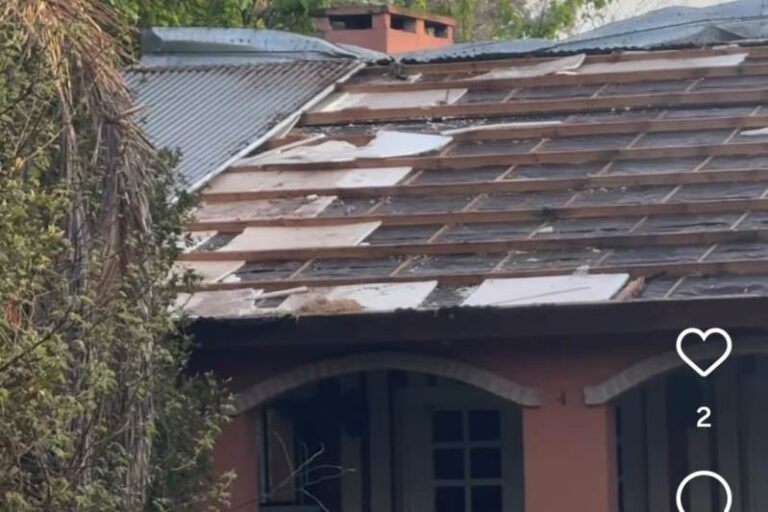 El Campito: de un hermoso predio a un lugar devastado