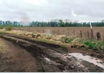 Rally de Arrecifes: sábado cancelado