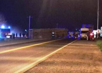 El dueño de un camión que volcó pide que le devuelvan las jaulas de pollos que le robaron