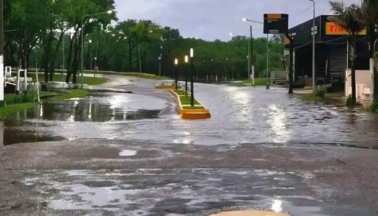 FOTO: RODOLFO GUAYÁN