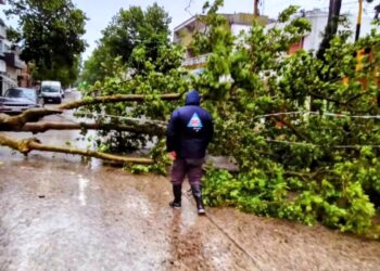 Intensos trabajos en Salto para recuperarse del temporal
