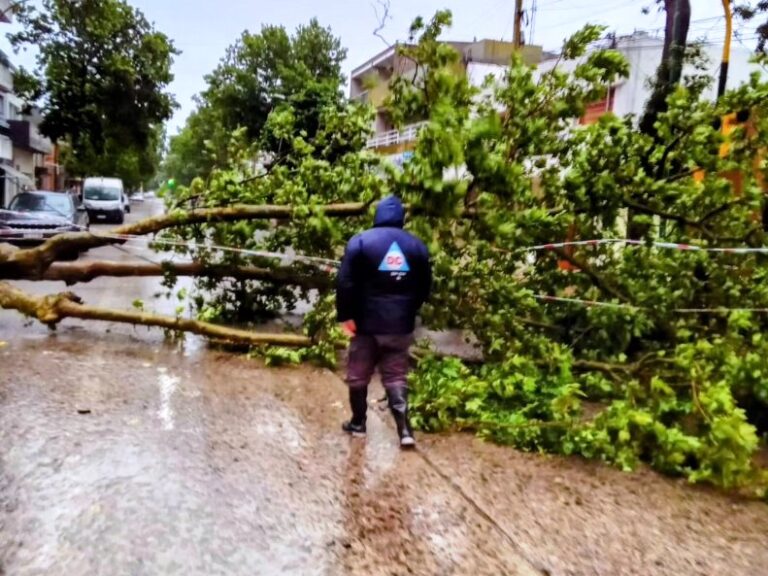 Intensos trabajos en Salto para recuperarse del temporal