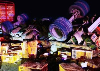 Volcó otro camión en la autopista 8, esta vez cargado con gallinas