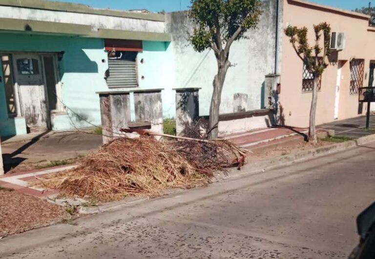 Reclamos por falta de recolección de residuos en zonas de Arrecifes