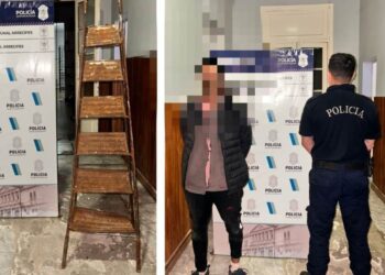 Fue a robar con una escalera y lo agarraron
