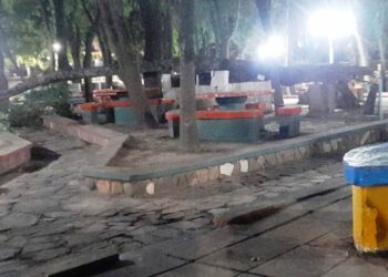 Se cayó un árbol en el Balneario de Arrecifes