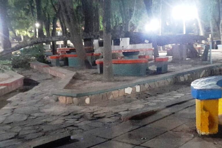 Se cayó un árbol en el Balneario de Arrecifes