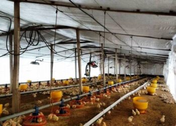 Inseguridad en Arrecifes: así es muy difícil