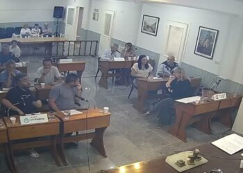 Reigosa: “Lo que está cobrando la Municipalidad por la Fiesta del Automovilismo, es ilegal”