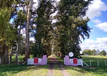 Robo y privación de la libertad entre Carmen de Areco y Arrecifes