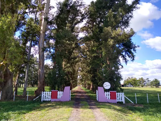 Robo y privación de la libertad entre Carmen de Areco y Arrecifes