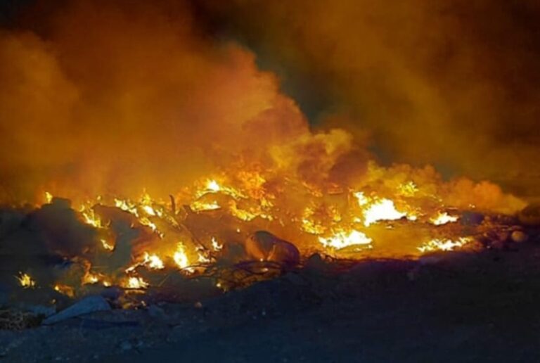 Quema de basura provocó un incendio en la vía pública