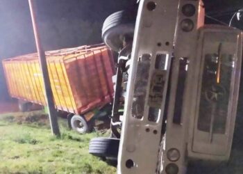 Volcó un camión cargado de pollos sobre ruta 8, en Villa Sanguinetti