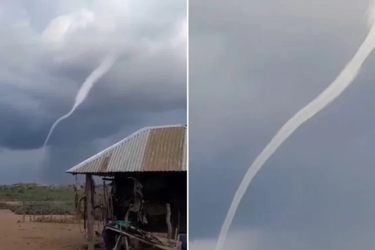 Un tornado sorprendió a santafesinos cerca de Arrecifes