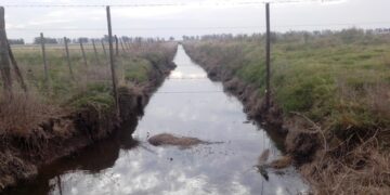 Se podrá denunciar por internet la existencia de canales clandestinos en la Provincia