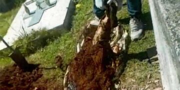 Grave denuncia de trabajador del Cementerio Municipal