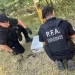 ¿Intento de atentado?: atacaron a tiros a gendarmes y quisieron hacer volar un gasoducto en Ezeiza