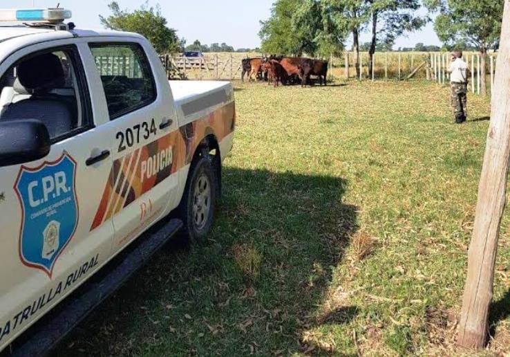 Vestidos como policías, asaltaron a una familia en La Violeta