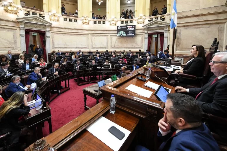 El Senado convirtió en ley la baja de imputabilidad a los 14 años