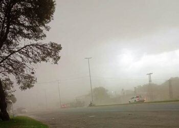 El temporal causó diferentes daños en Arrecifes