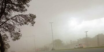 El temporal causó diferentes daños en Arrecifes