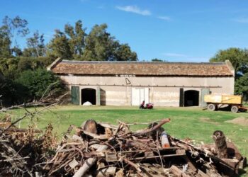 Hoy parte la cabalgata familiar de Arrecifes a Viña