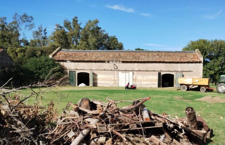 Hoy parte la cabalgata familiar de Arrecifes a Viña