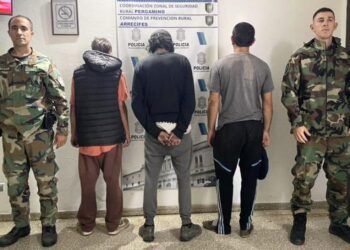 Detuvieron a cazadores con perros galgos en un campo de Arrecifes