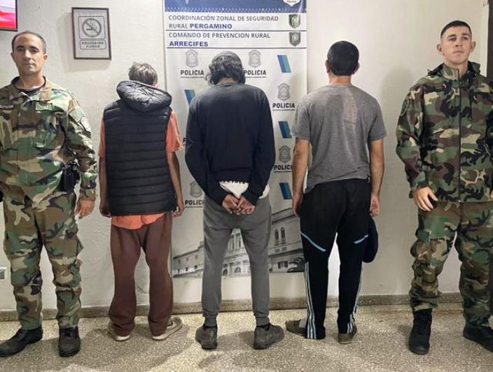 Detuvieron a cazadores con perros galgos en un campo de Arrecifes