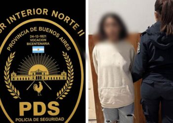 Detienen a una mujer por pegarle a su pareja y a policías