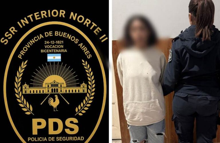 Detienen a una mujer por pegarle a su pareja y a policías