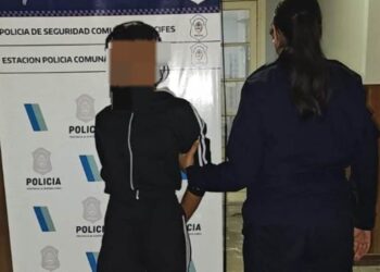 Detienen a una mujer agresiva con dos machetes