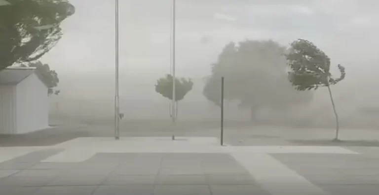 Alerta por fuertes ráfagas de viento en Arrecifes