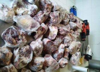 Robo de ganado: en un allanamiento secuestran carne fraccionada