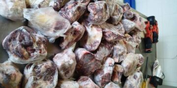 Robo de ganado: en un allanamiento secuestran carne fraccionada