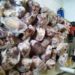 Robo de ganado: en un allanamiento secuestran carne fraccionada
